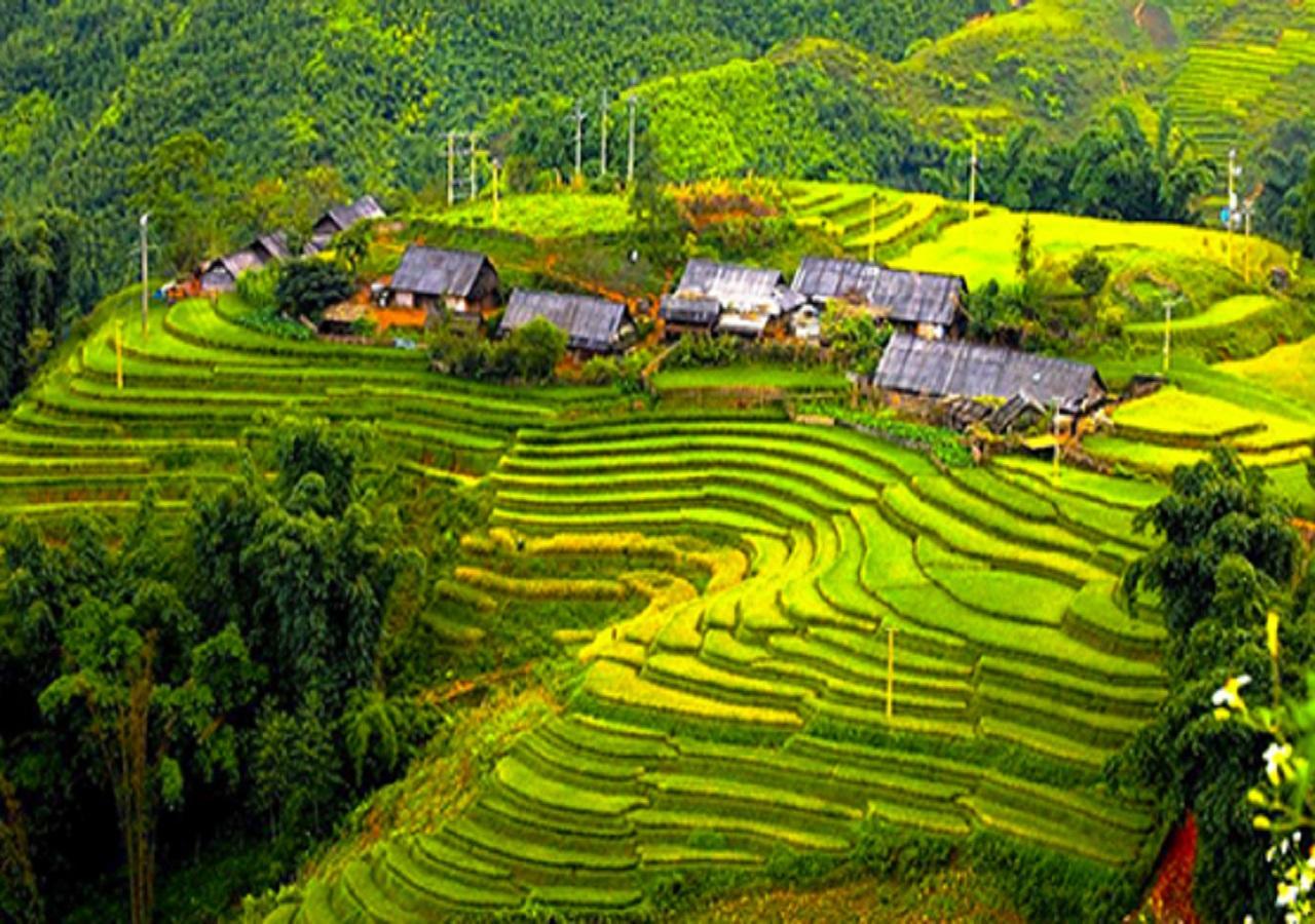 Indigo Inn Sapa Экстерьер фото